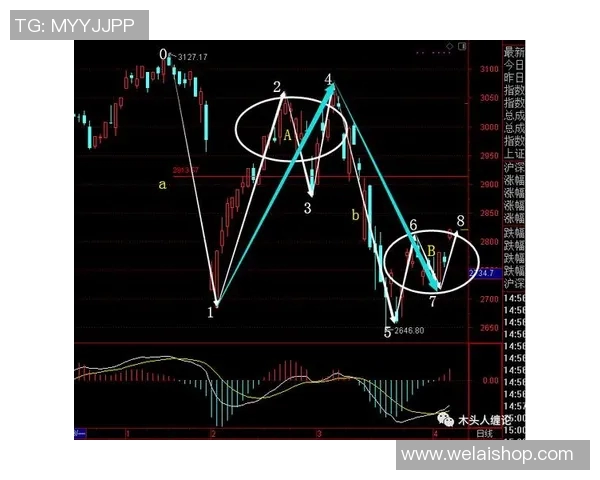 成都排球队包夹战术深度解析与实战应用探讨 成都排球队包夹战术深度解析与实战应用探讨