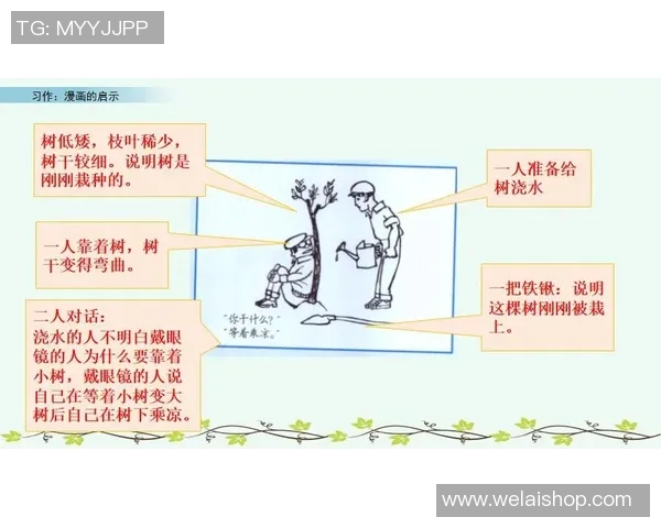 杭州排球队在杯赛中的团队协作表现分析与启示