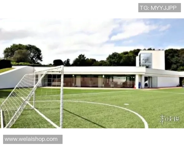 足球明星豪宅出售视频曝光奢华生活引发粉丝热议