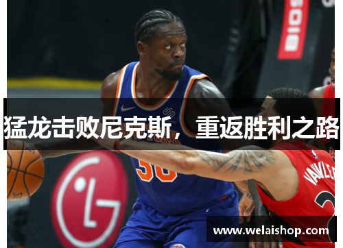 猛龙击败尼克斯，重返胜利之路