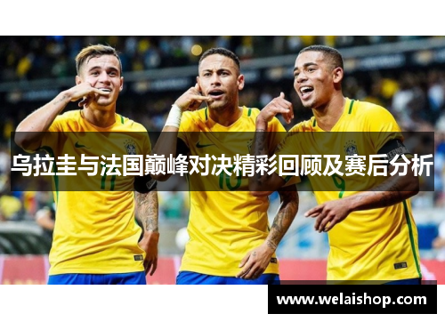 乌拉圭与法国巅峰对决精彩回顾及赛后分析